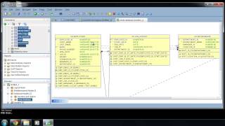 SQL Developer ER diagram  sqlvids [upl. by Orazal510]