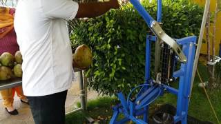 Mechanical contraption for shaving and piercing green coconut [upl. by Nylirad519]