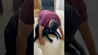 Exercise With Lucky😂 doglover trending lucky [upl. by Osrock3]