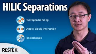 Understanding the HILIC Separation Method in LC [upl. by Iht372]