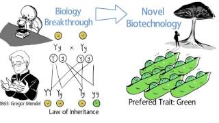 What is Biotechnology [upl. by Ailimaj862]