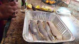 How To Fry Frozen Whiting [upl. by Brocklin]