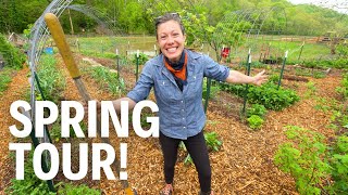 Lazy Gardening Has Paid Off  FULL Spring Garden Tour 2024 [upl. by Dnana]