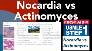 Nocardia vs Actinomyces in HindiUrdu by first aid for USMLE step 1 [upl. by Weixel]