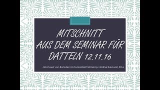 Ausschnitte aus dem Dunkelfeldseminar mit Nadine Bukowski [upl. by Aicatsal]