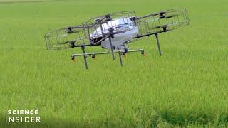 How Japan Is Reshaping Its Agriculture By Harnessing SmartFarming Technology [upl. by Nessej]