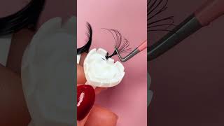 lash extensions fans for beginners lashtech lashtips lashinspo beginnerlashtech lashes eyelash [upl. by Ielerol662]