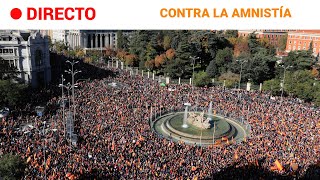 AMNISTÍA  PROTESTA en quotDEFENSA DE LA CONSTITUCIÓN por la UNIDAD y la IGUALDADquot RTVE [upl. by Hendon]