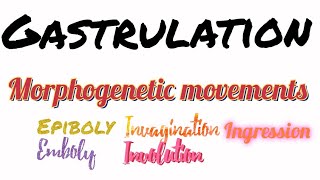 Gastrulation  Morphogenetic movements  Ingression  Involution  Epiboly  Delamination  Emboly [upl. by Lane]