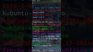 Instalando SailfishOS Linux Mobile no seu Smartphone sailfishos jolla linuxmobile rikerlinux [upl. by Gorrian]