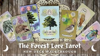 Pretty and educational  Walkthrough of the Forest Lore Tarot [upl. by Barhos751]