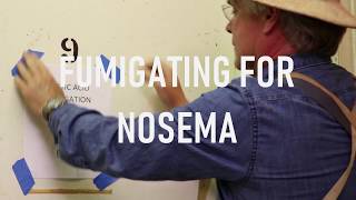 Fumigating for Nosema [upl. by Winter294]