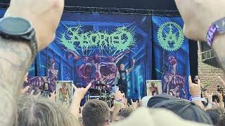 Aborted  Retrogore live at Brutal Assault 27 2024 [upl. by Malas]