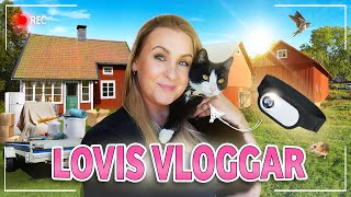 Det går vilt till här på gården 🐈‍⬛ VLOGG [upl. by Handel846]