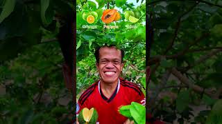 Round fruit on tree youtubeshorts fruit mukbang [upl. by Dewayne]