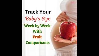 Fetal Development Week By Week  Baby Size Comparison With Fruits [upl. by Aray]