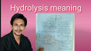 Hydrolysis meaning [upl. by Aneehsar]