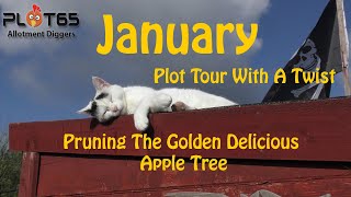 Pruning The Apple Tree And Tour With A Twist [upl. by Cardon]