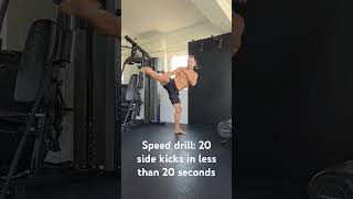 Side Kicks Speed Drill 20 sidekicks in under 20 Seconds [upl. by Penelope806]