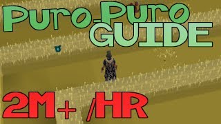 Puro Puro Implings Guide  2M Per Hour Money Making Runescape 2014 [upl. by Samaj492]