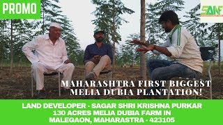 MELIA DUBIA PLANTATION IN MAHARASHTRA SAGAR SHRI KRISHNA PURKAR 10 MONTHS JOURNEY PROMO [upl. by Nimar]