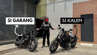 SPORTSTER 48 vs SPORTSTER IRON 883 Mana yang Cocok untukmu [upl. by Trina916]