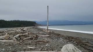 Dungeness Spit State Park 2 [upl. by Skcirdnek]