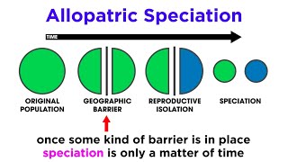 Types of Speciation Allopatric Sympatric Peripatric and Parapatric [upl. by Matilda]