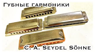 Губные гармоники Seydel Session Steel 1847 silver classic noble [upl. by Aldin]