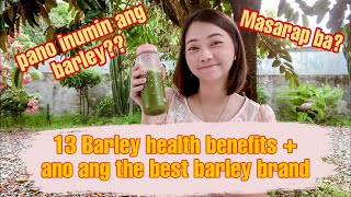 13 BARLEY BENEFITS  PAANO INUMIN AT TIMPLAHIN ANG BARLEY   ANO LASA NG BARLEY  SANTÉ BARLEY [upl. by Lynd]