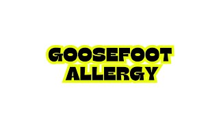 GOOSEFOOT ALLERGY [upl. by Mulderig]