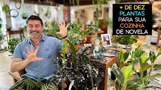 de 10 Plantas Para Sua COZINHA DE NOVELA [upl. by Adams]