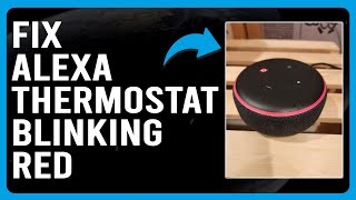 How To Fix Alexa Thermostat Blinking Red Why It Happens And Simple Ways To Resolve The Issue [upl. by Asilav]