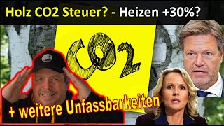 Heizen 30 Umweltministerium Holz jetzt klimaschädlich  CO2 Abgabe  weitere Entgleisungen [upl. by Edgard]