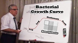 Bacterial Growth Curve  منحنى نمو البكتيريا [upl. by Favrot]