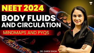 Body Fluids and Circulation  NEET 2024  Dr Gargi Singh [upl. by Barbabas251]