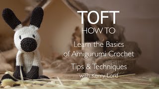 Learn the Basics of Amigurumi Crochet [upl. by Gere707]