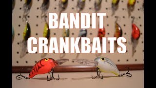 Bandit Crankbait 200300 Series Review [upl. by Manthei]