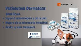 Pienso para perros con dermatosis  Monge Vet Solution [upl. by Farnham133]