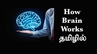 மூளை எப்படி வேலை செய்கிறது Ep7 Basic Psychology in Tamil [upl. by Sibyl]