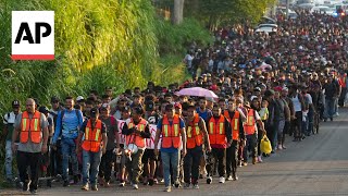 About 2500 migrants have started walking towards USMexico border [upl. by Radcliffe]