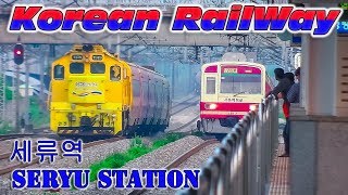 Railway Freight and Passenger Trains of South Korea Seryu St Грузовые и пассажирские поезда Кореи [upl. by Ennybor]