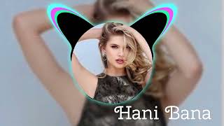 Hani Bana Remix 2024  Captivating Beats by Rami Aslan  Original Track by Elif Yıldız [upl. by Wun]