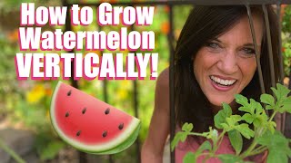 How to Grow LOTS of Watermelon  Vertically on a Trellis  in Garden Beds amp Containers 🍉🌱 [upl. by Lanny383]