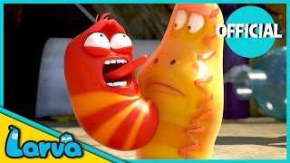 LARVA  BEST OF LARVA  Funny  Cartoons  Comics  LARVA Official WEEK 1 2017 [upl. by Seidel]