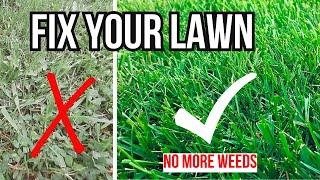 How to get rid of lawn weeds Beginners guide [upl. by Aicelf94]