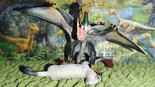 Dimorphodon VS Siamese Cat [upl. by Wald]