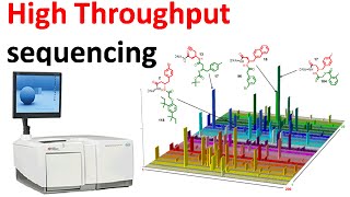 High throughput sequencing [upl. by Eahsed992]