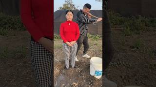 Try planting a wife funny video comedy shots shorts shortsviral [upl. by Peter]