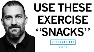 quotExercise Snacksquot to Improve amp Maintain Fitness  Dr Andrew Huberman [upl. by Lativa]